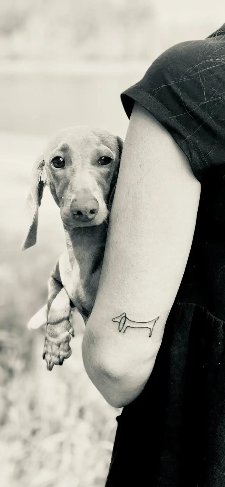 Tattoo-Design von Rose