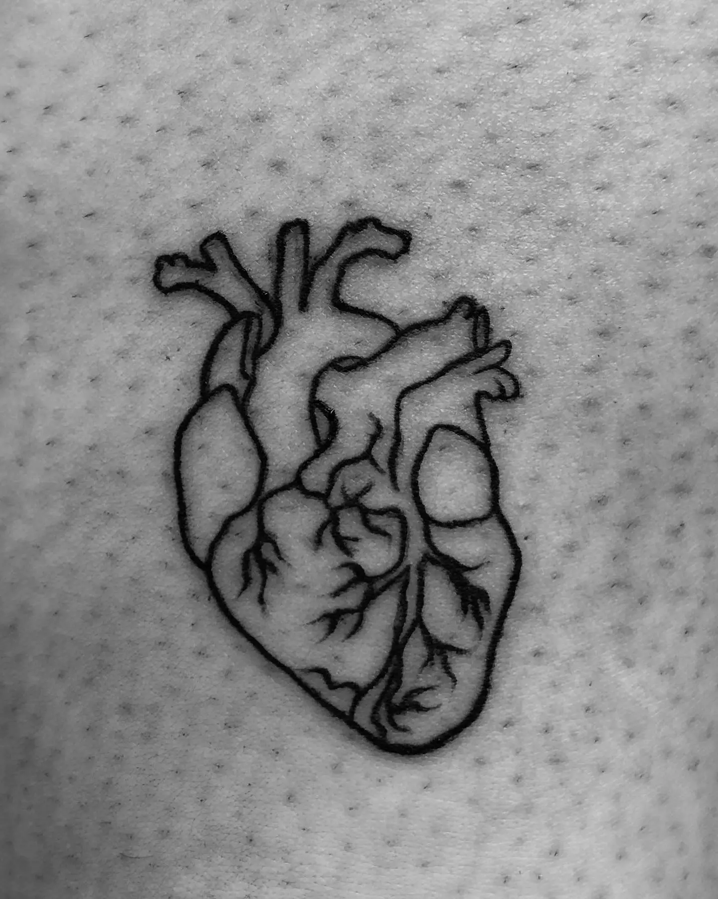Tattoo-Design von Rose